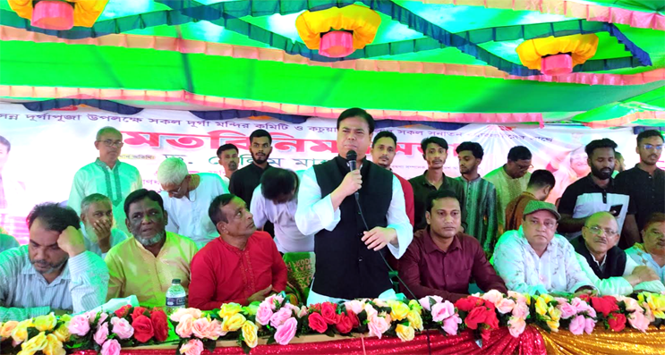 বর্তমানে সরকারে আমলে সনাতন ধর্মাবলম্বীরা নিরাপদ:  ড. সেলিম মাহমুদ